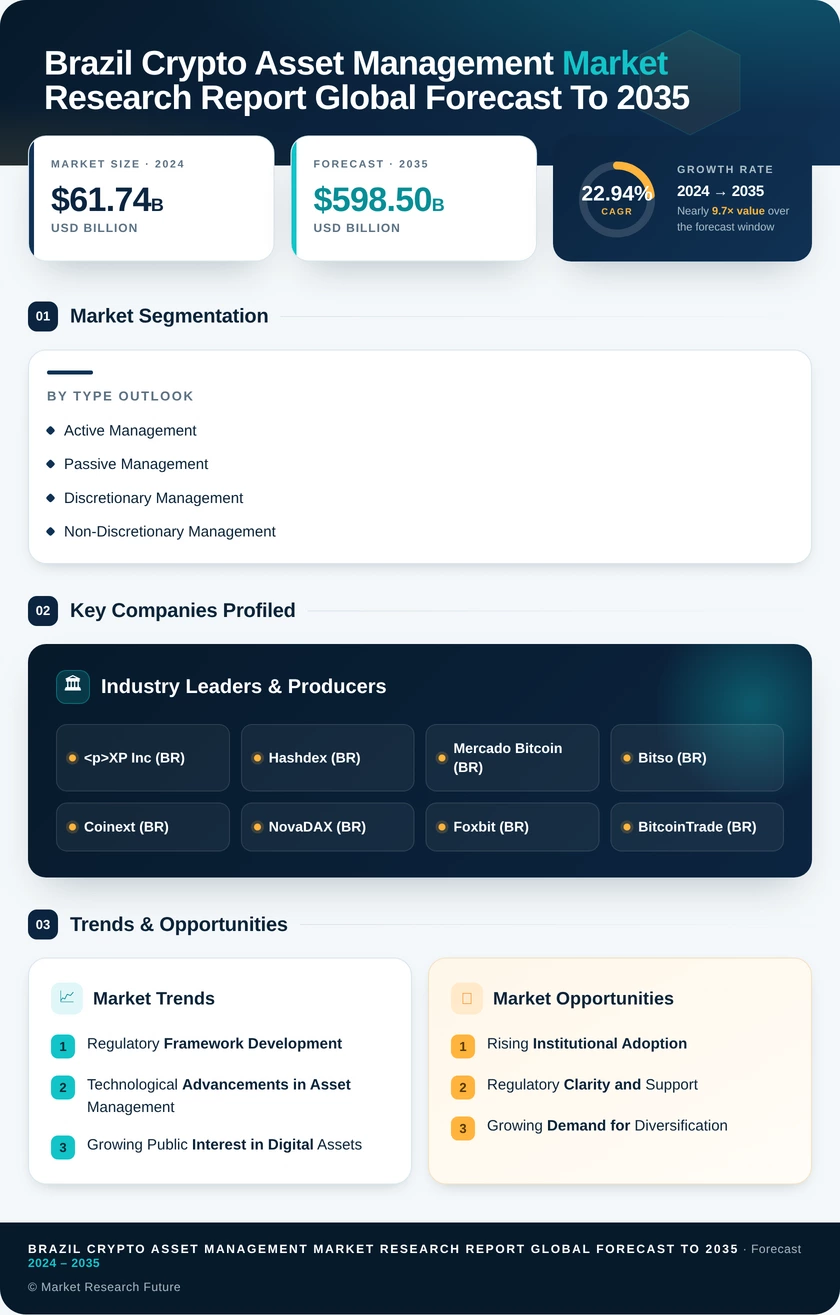 Brazil Crypto Asset Management Market Infographic