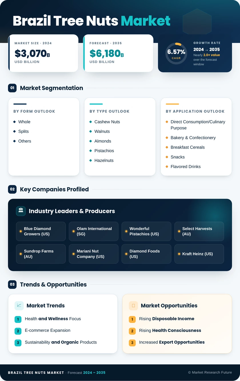 Brazil Tree Nuts Market Research Report - Forecast Till 2035 Infographic