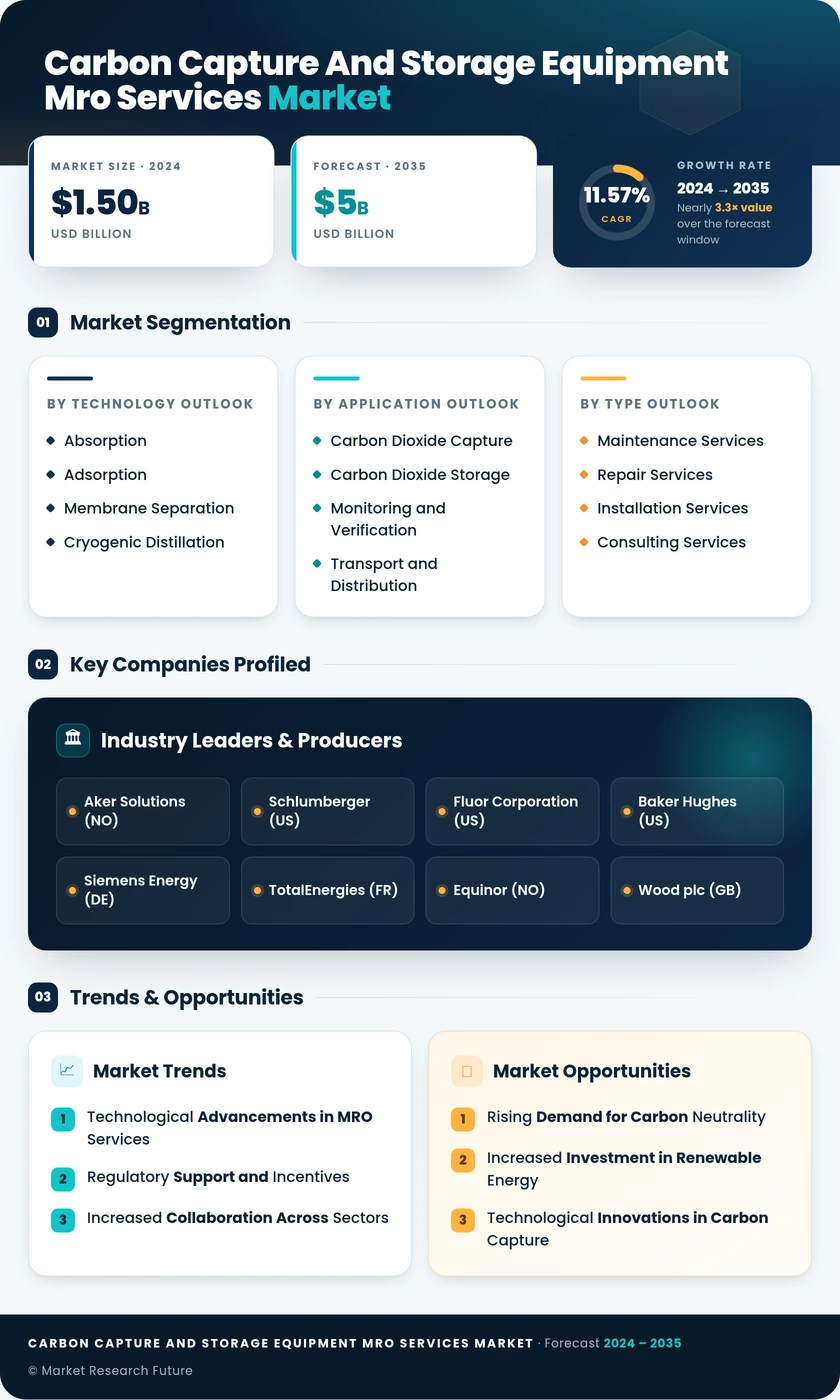 Carbon Capture and Storage Equipment MRO Services Market Infographic