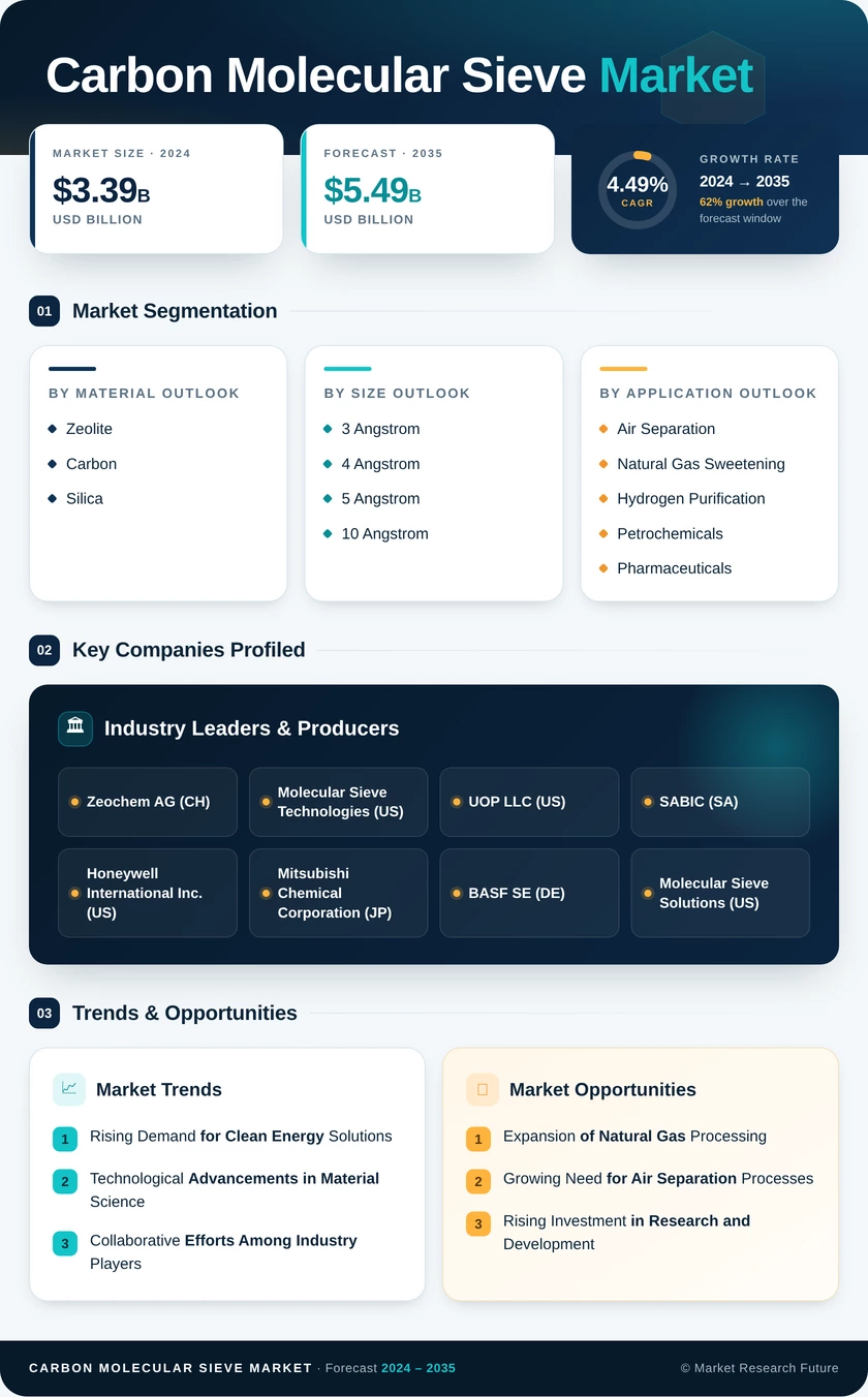 Carbon Molecular Sieve Market Research Report — Global Forecast till 2035 Infographic