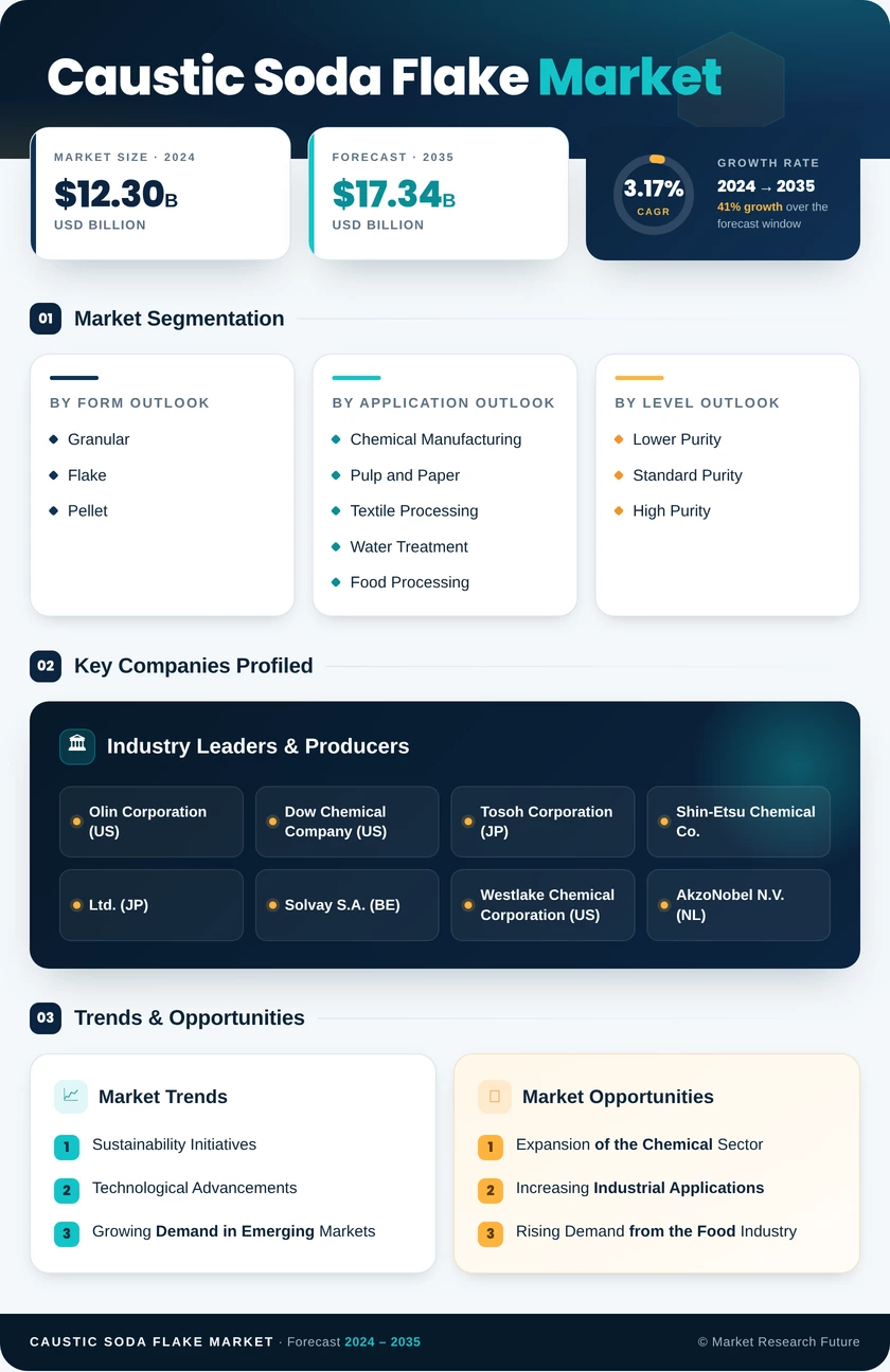 Caustic Soda Flake Market Research Report — Global Forecast till 2035 Infographic