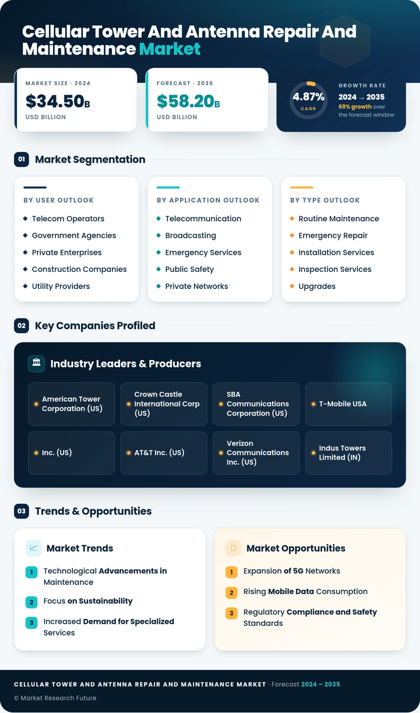 Cellular Tower and Antenna Repair and Maintenance Market Infographic