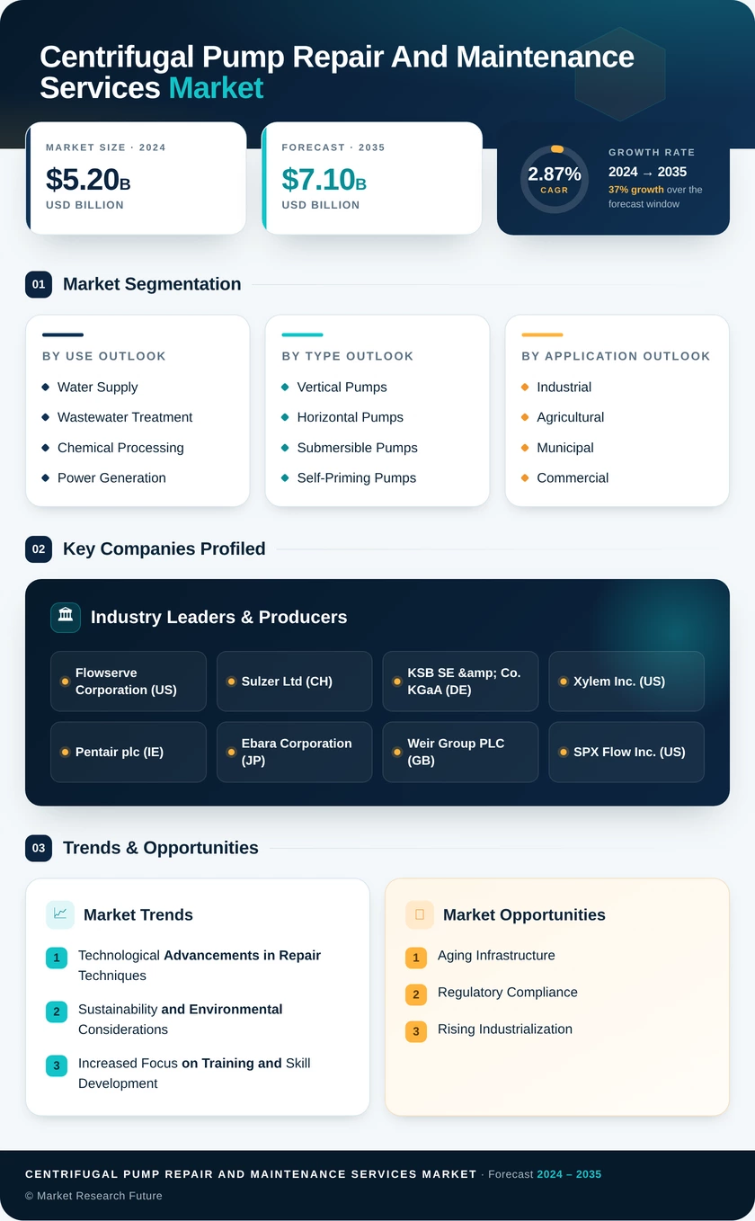 Centrifugal Pump Repair and Maintenance Services Infographic
