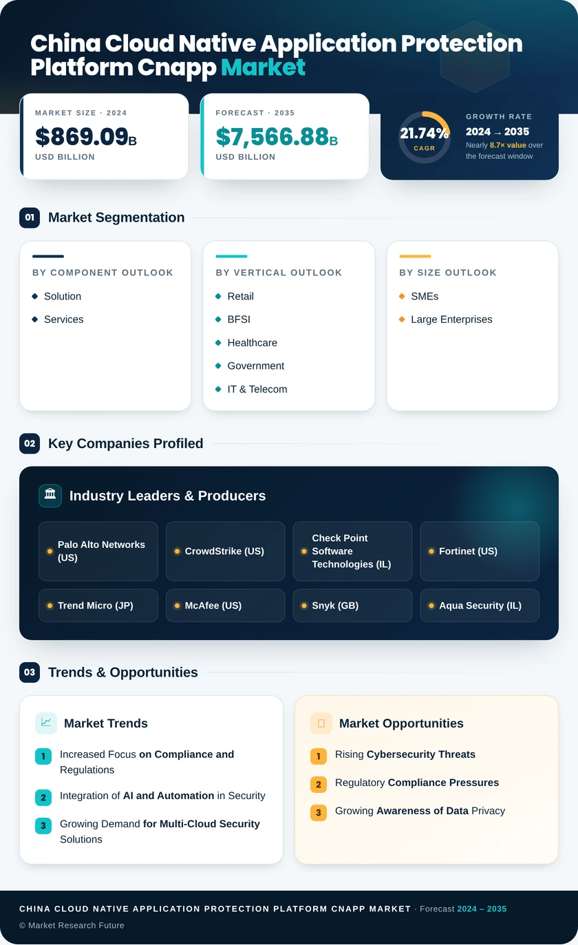 China Cloud Native Application Protection Platform Cnapp Market Infographic