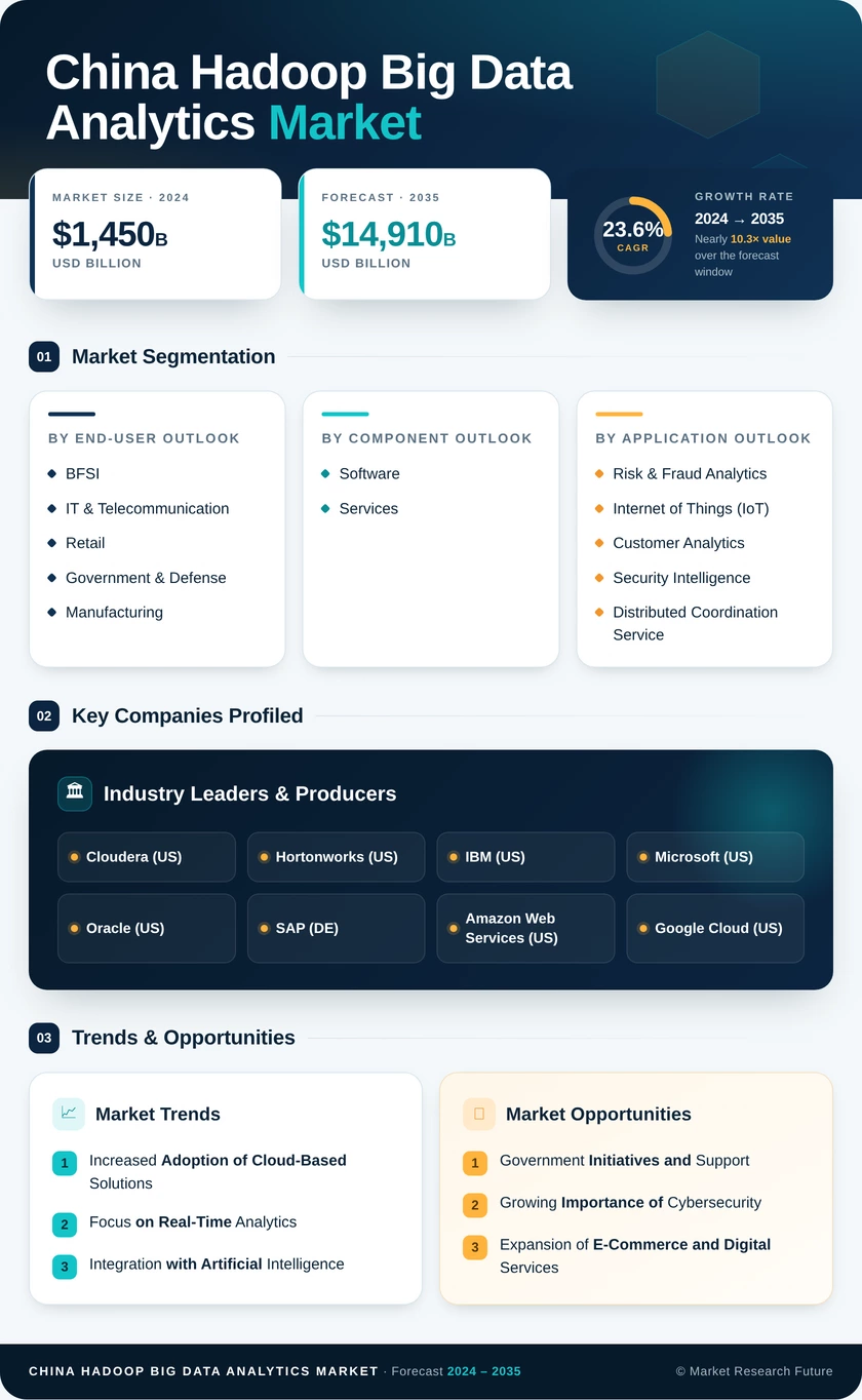 China Hadoop Big Data Analytics Market Research Report-Forecast to 2035 Infographic
