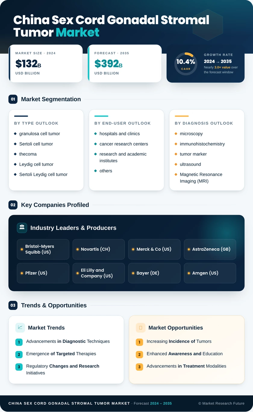 China Sex Cord Gonadal Stromal Tumor Market Research Report - Forecast to 2035 Infographic