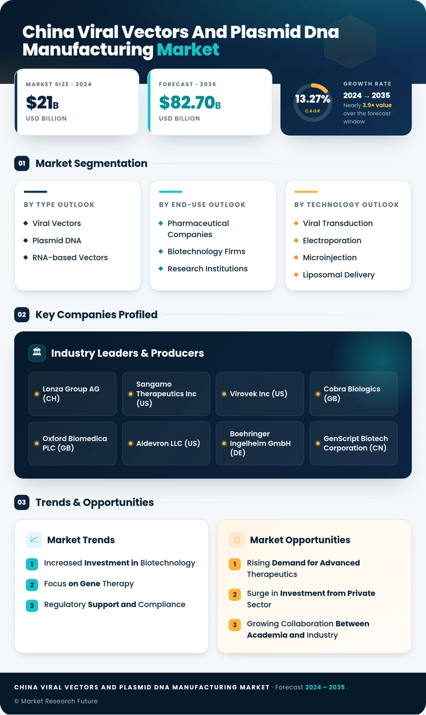 China Viral Vectors and Plasmid DNA Manufacturing Market Research Report-Forecast to 2035 Infographic