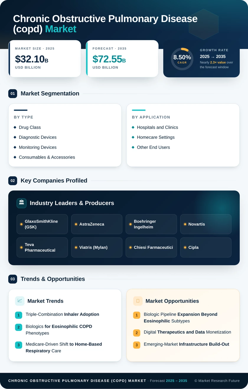 Chronic Obstructive Pulmonary Disease Market Research Report - Forecast till 2035 Infographic