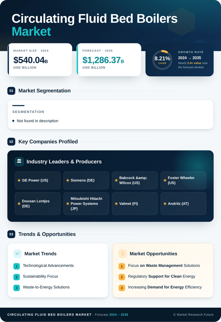 Circulating Fluid Bed Boilers Market Research Report- Forecast 2035 Infographic