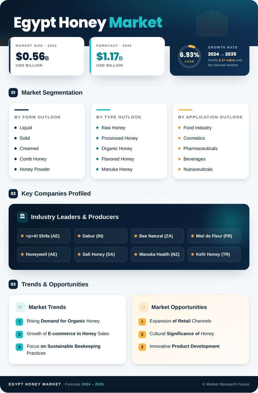 Egypt Honey Market Research Report – Forecast to 2035 Infographic