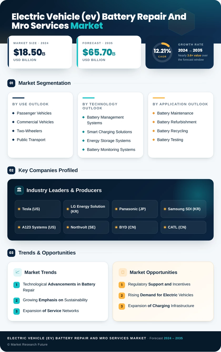 Electric Vehicle (EV) Battery Repair and MRO Services Market Infographic
