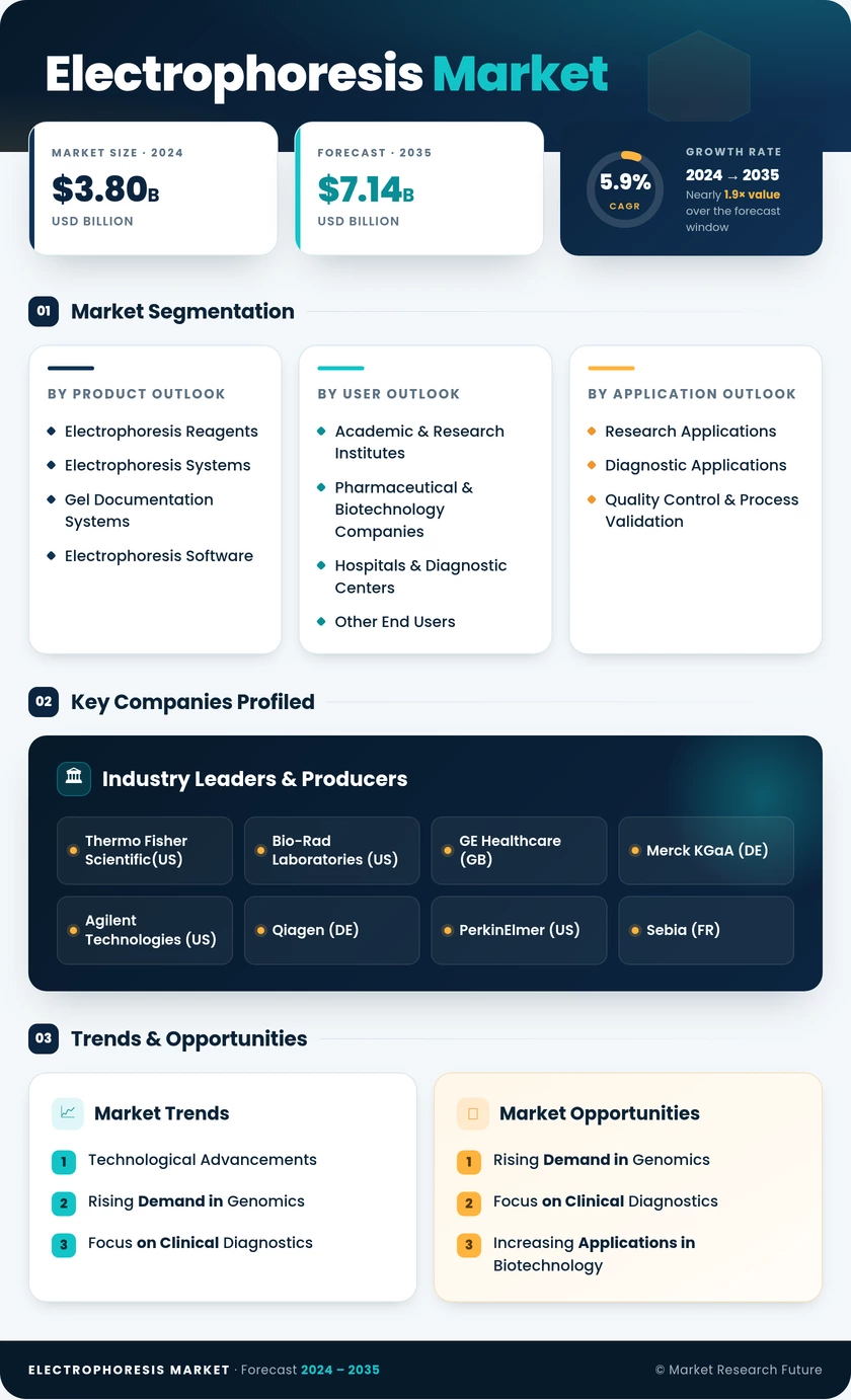 Electrophoresis Market Research Report — Global Forecast till 2035 Infographic