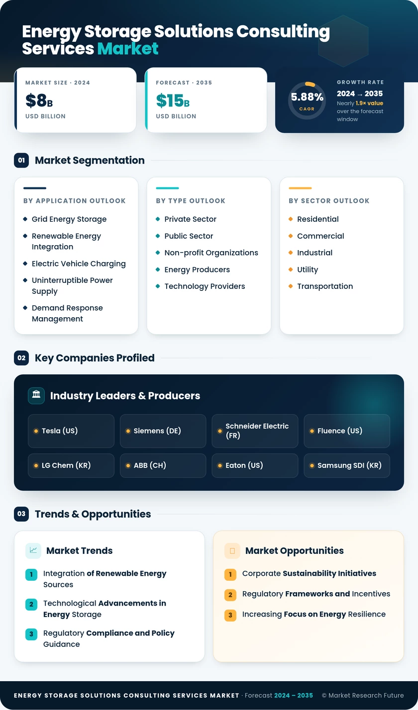 Energy Storage Solutions Consulting Services Market Infographic