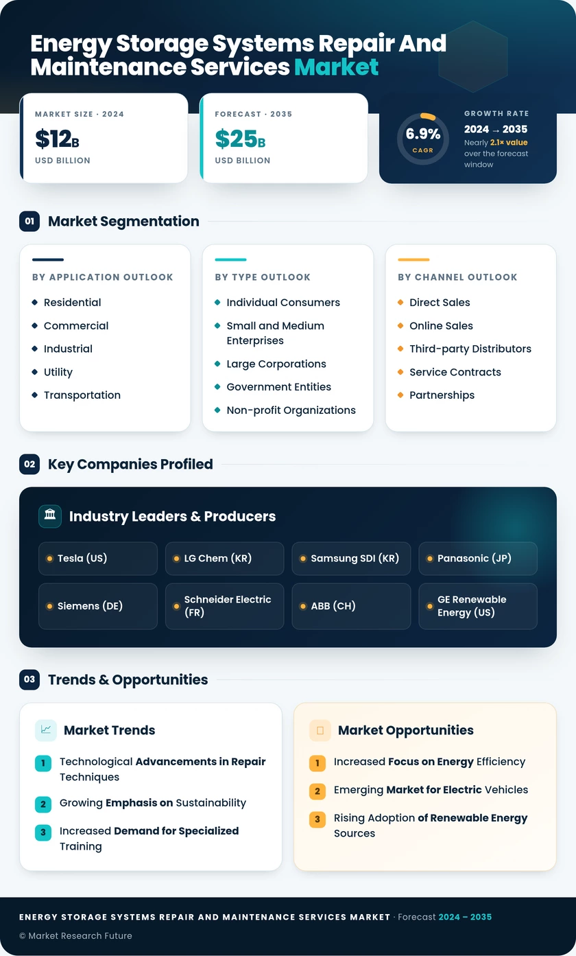 Energy Storage Systems Repair and Maintenance Services Market Infographic