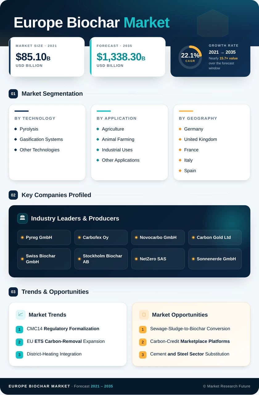 Europe Biochar Market Research Report—Forecast till 2035 Infographic