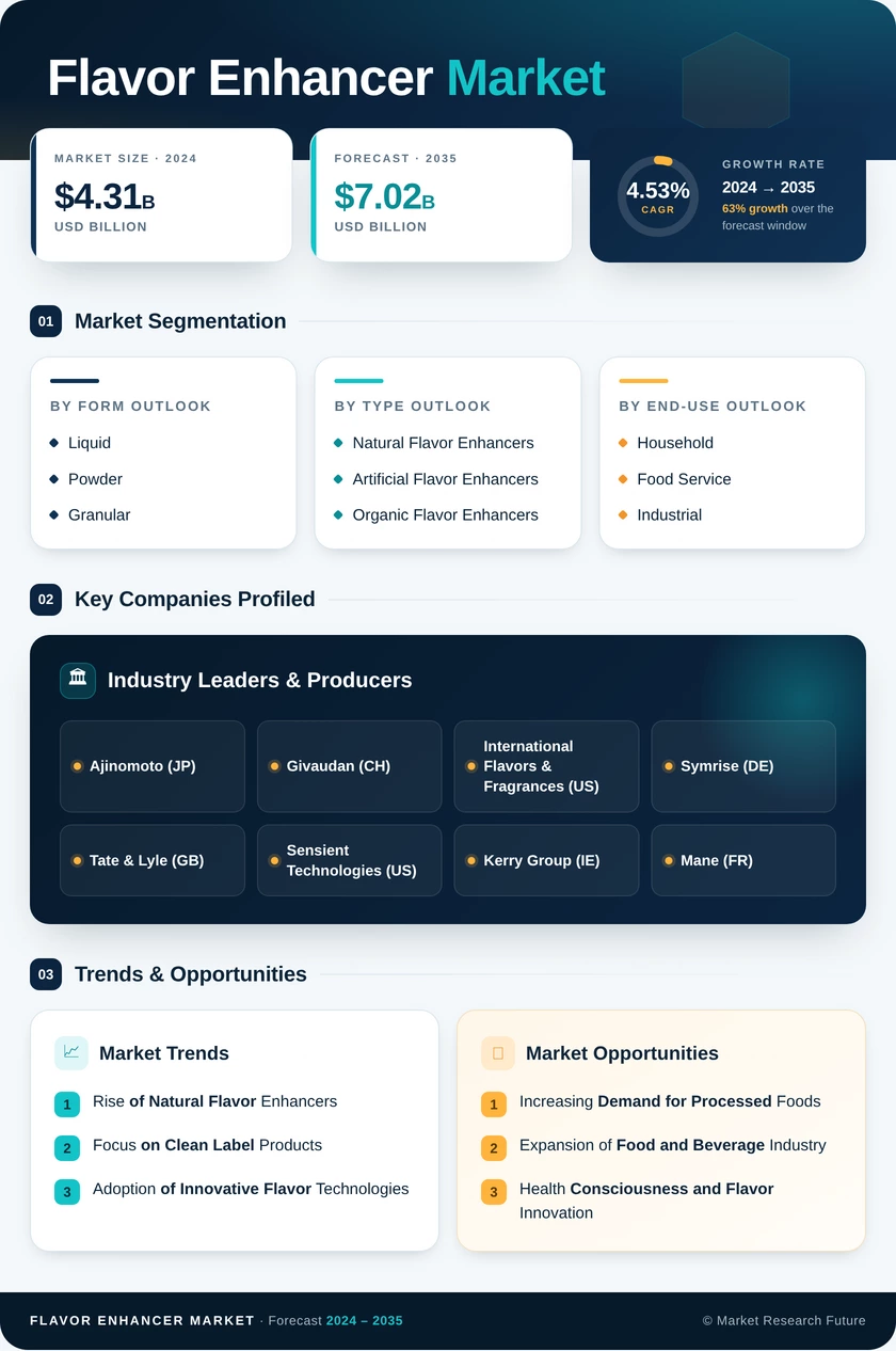 Flavor Enhancer Market Research Report- Forecast till 2035 Infographic