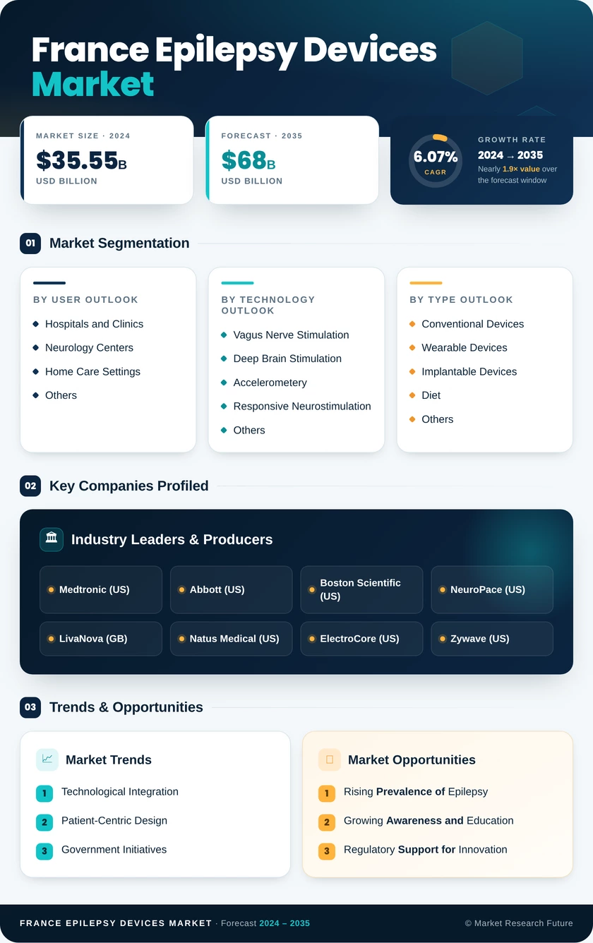 France Epilepsy Devices Market Research Report-Forecast to 2035 Infographic