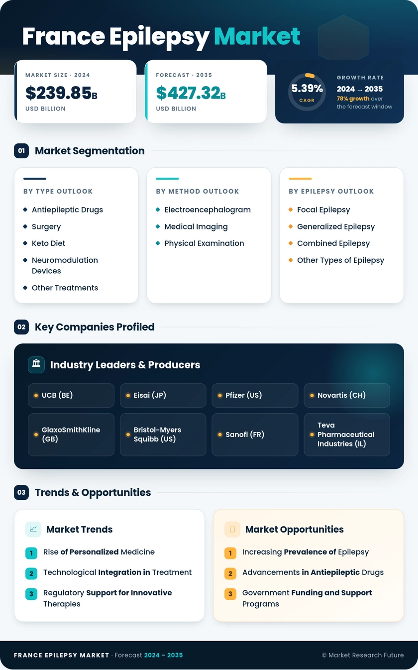 France Epilepsy Market Research Report-Forecast to 2035 Infographic