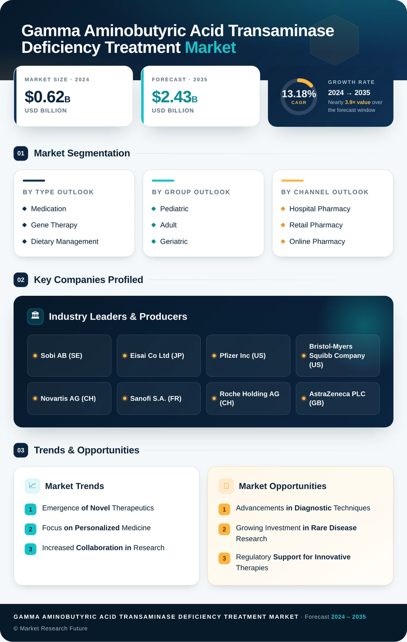 Gamma Aminobutyric Acid Transaminase Deficiency Treatment Market Research Report — Global Forecast till 2035 Infographic