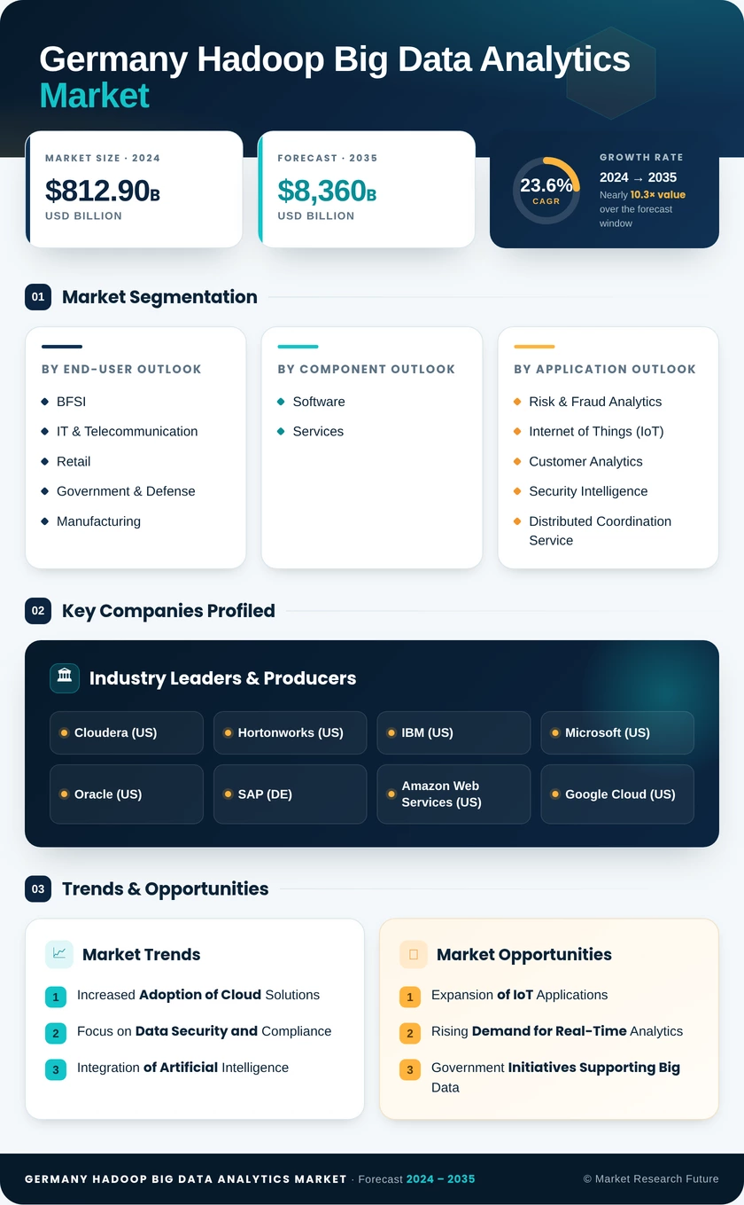 Germany Hadoop Big Data Analytics Market Research Report-Forecast to 2035 Infographic