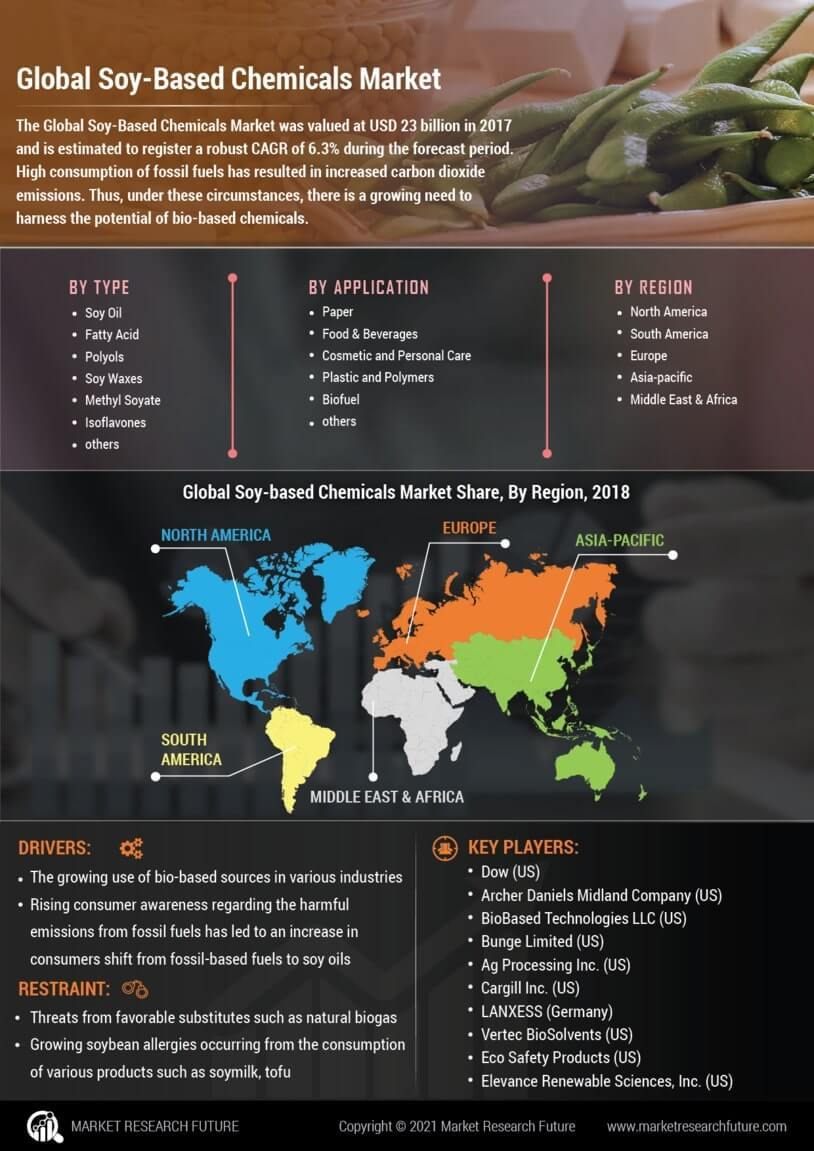 Soy Based Chemicals Market