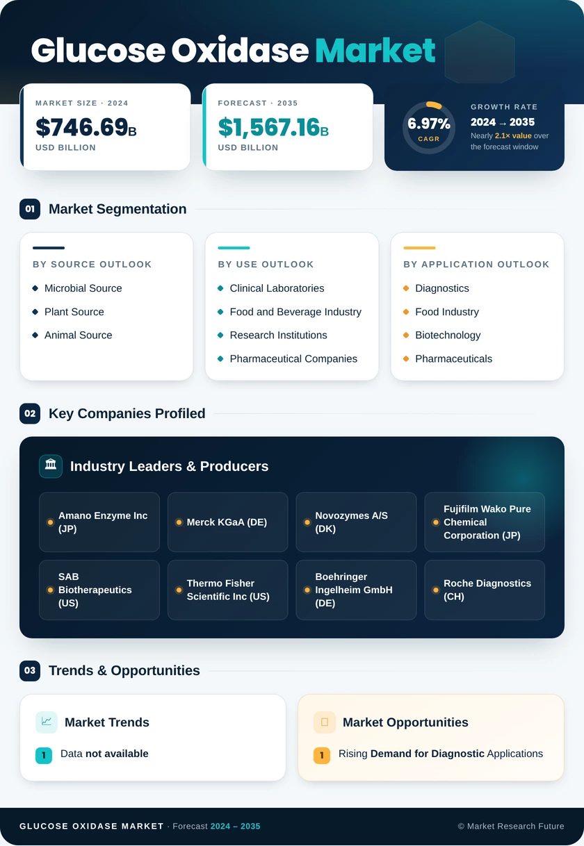 Glucose Oxidase Market Research Report — Global Forecast till 2035 Infographic