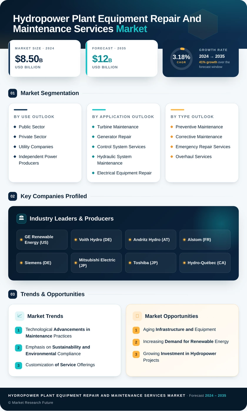 Hydropower Plant Equipment Repair and Maintenance Services Market Infographic