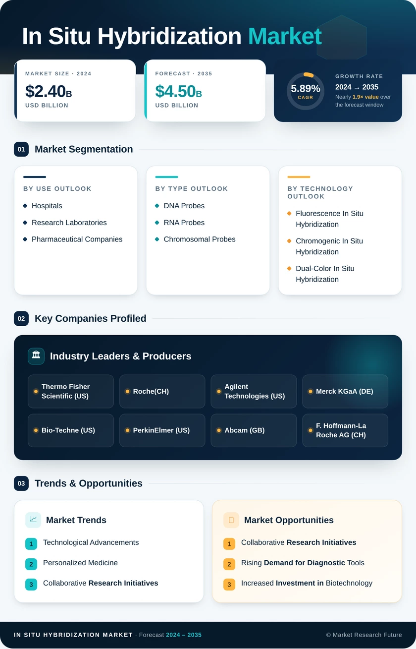 In Situ Hybridization Market Infographic