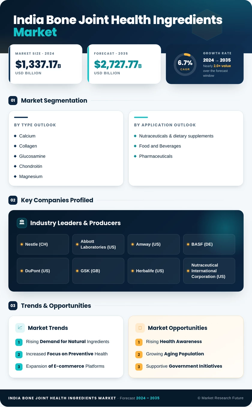 India Bone Joint Health Ingredients Market Research Report- Forecast to 2035 Infographic