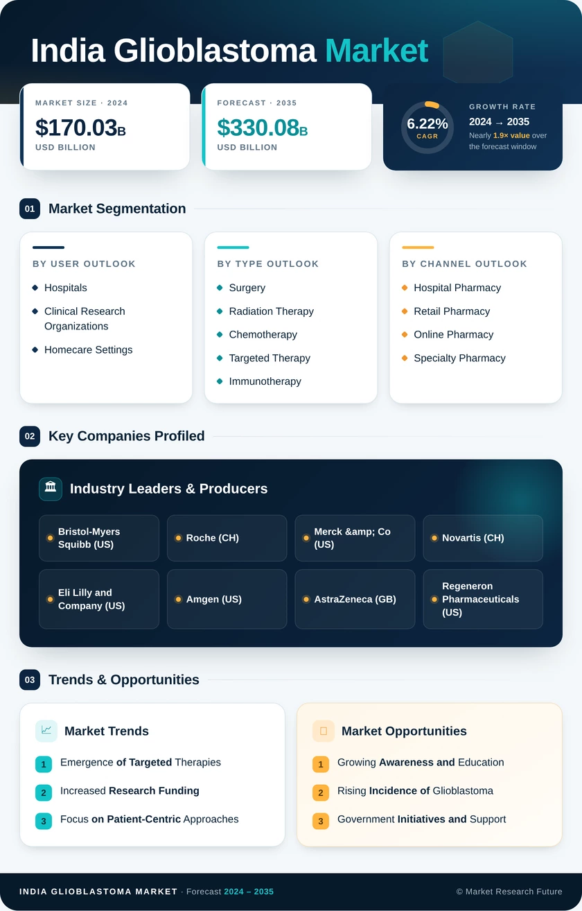 India Glioblastoma Market Research Report — Forecast till 2035 Infographic