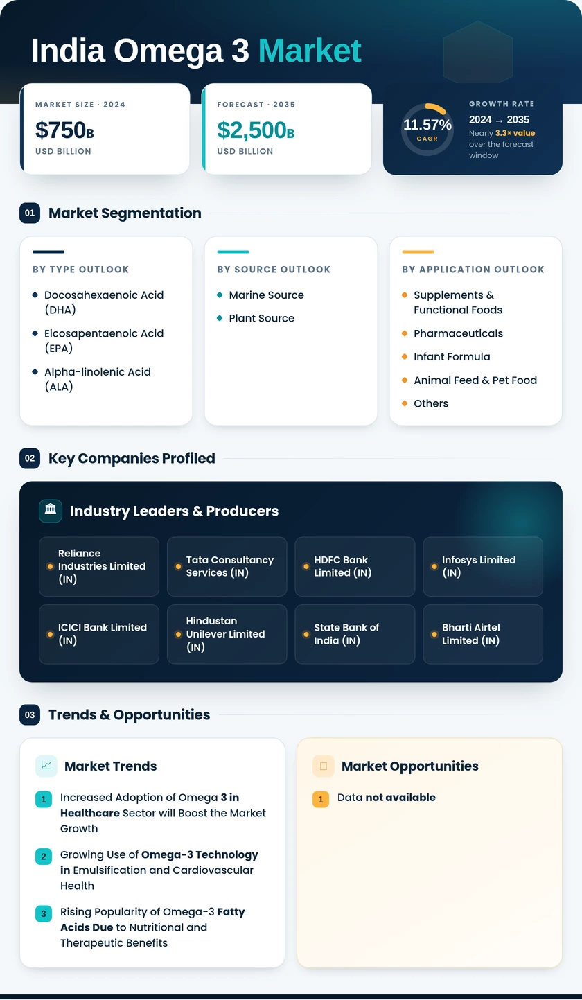 India Omega 3 Market Research Report— Forecast till 2035 Infographic