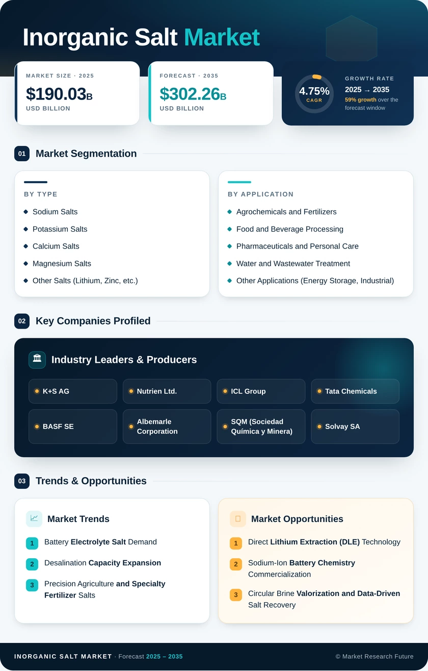Inorganic Salts Market Research Report - Forecast till 2035 Infographic