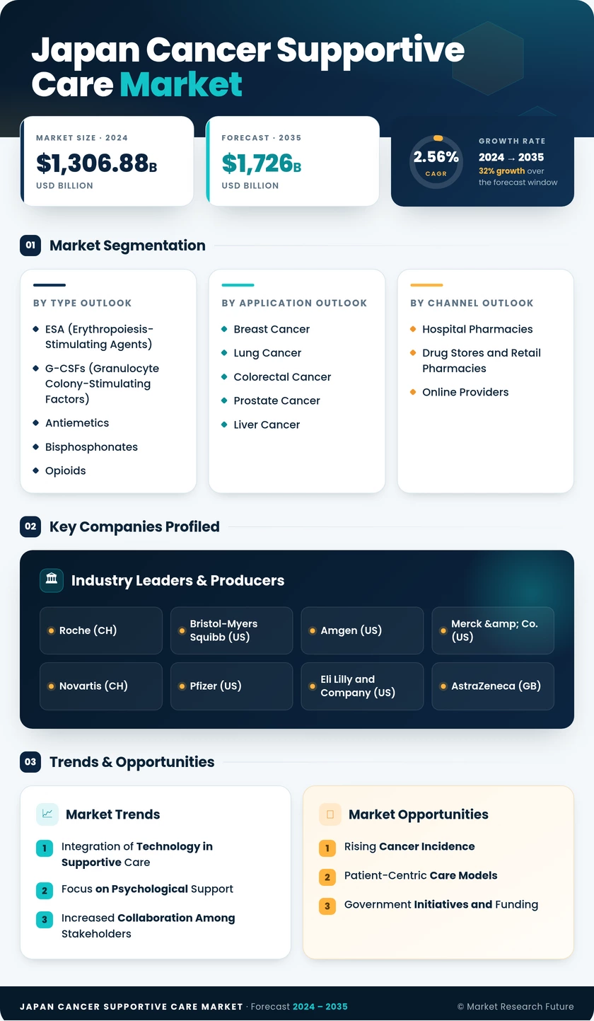 Japan Cancer Supportive Care Market Research Report - Forecast To 2035 Infographic