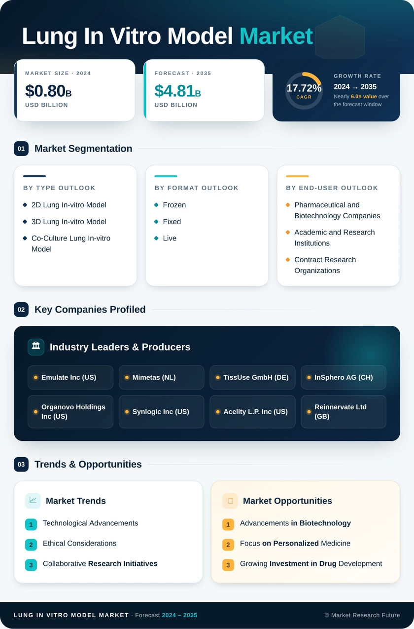 Lung In Vitro Model Market Research Report-Forecast till 2035 Infographic