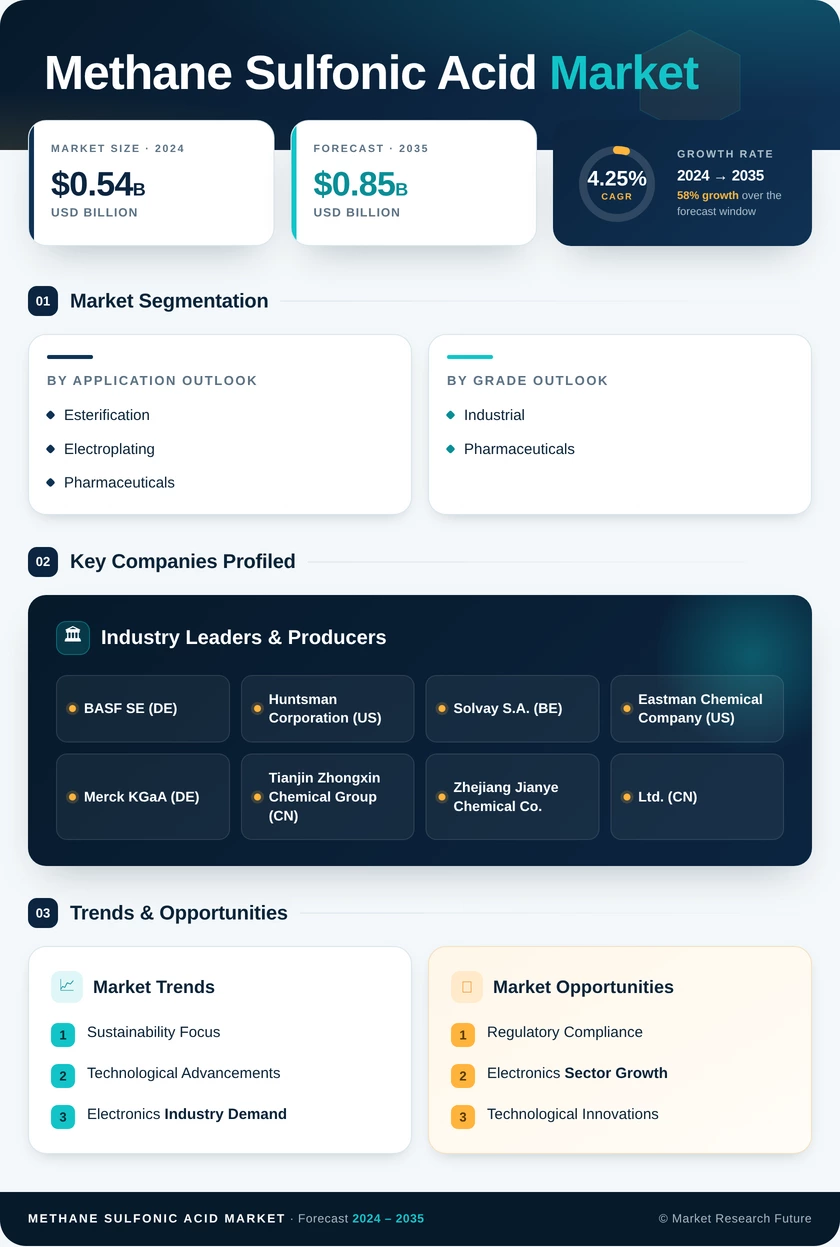 Methane Sulfonic Acid Market Research Report – Global Forecast till 2035 Infographic