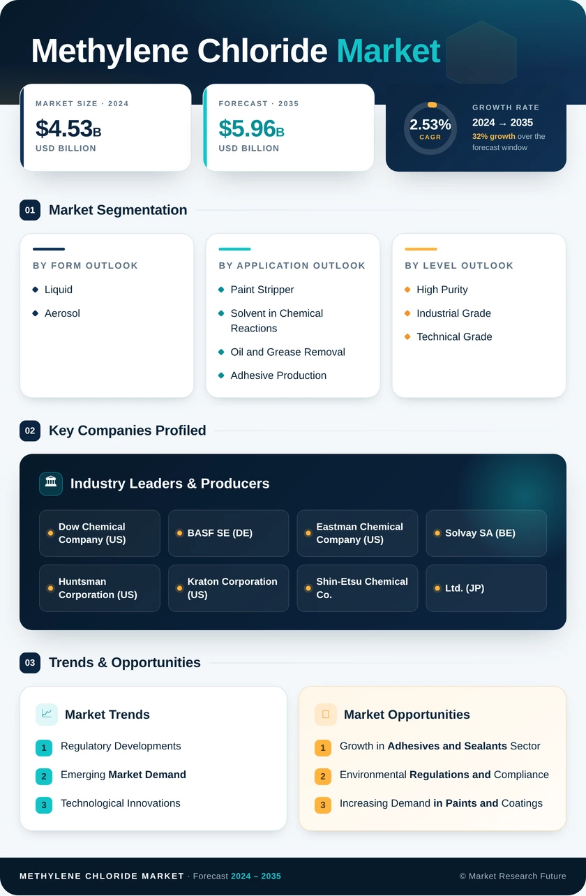 Methylene Chloride Market Research Report- Global Forecast till 2035 Infographic