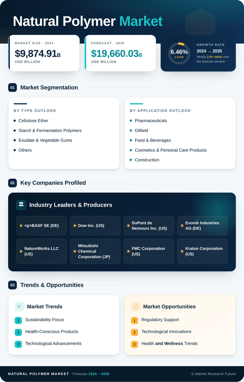 Natural Polymer Market Research Report – Forecast to 2035 Infographic