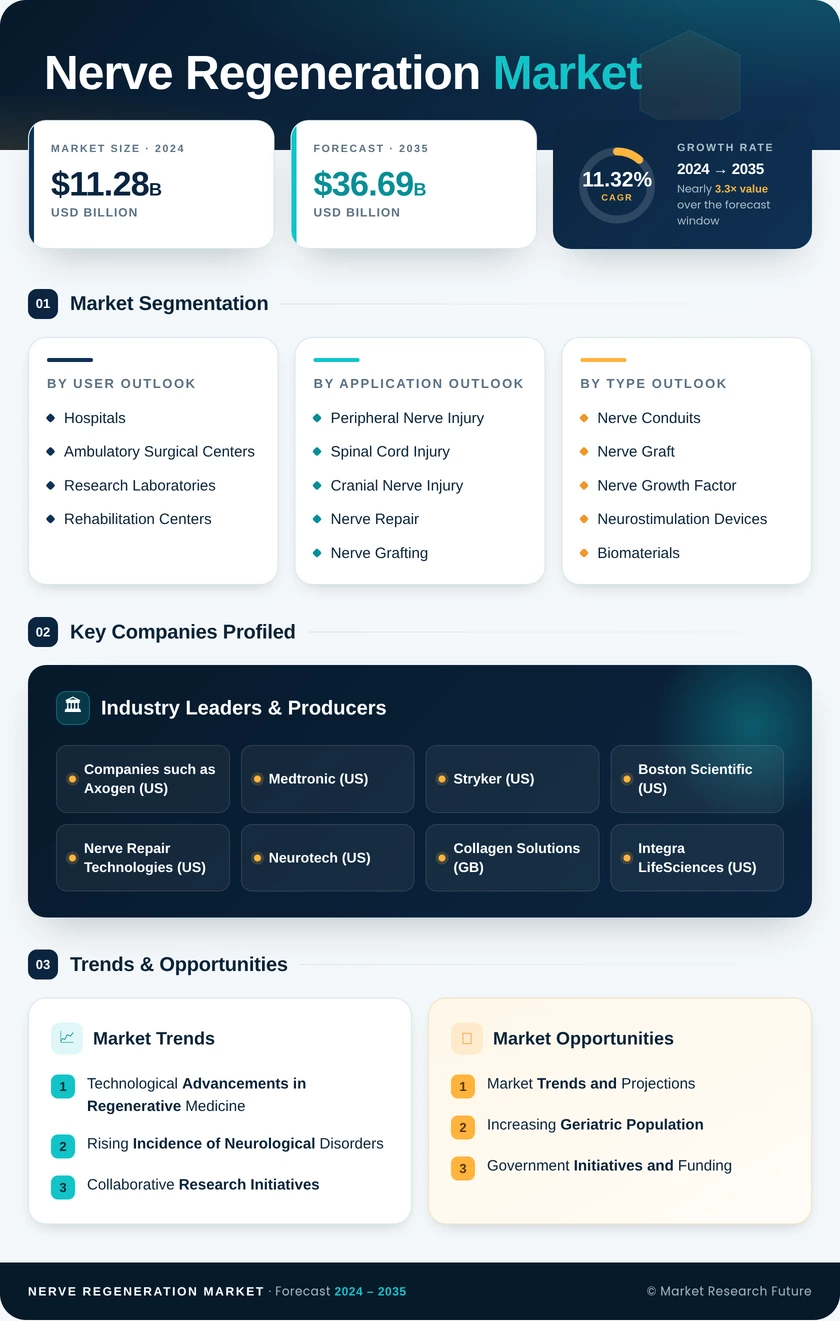 Nerve Regeneration Market Research Report - Forecast till 2035 Infographic