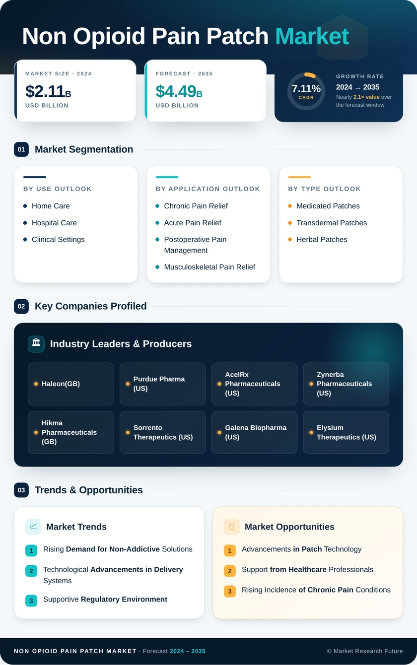 Non-Opioid Pain Patch Market Infographic