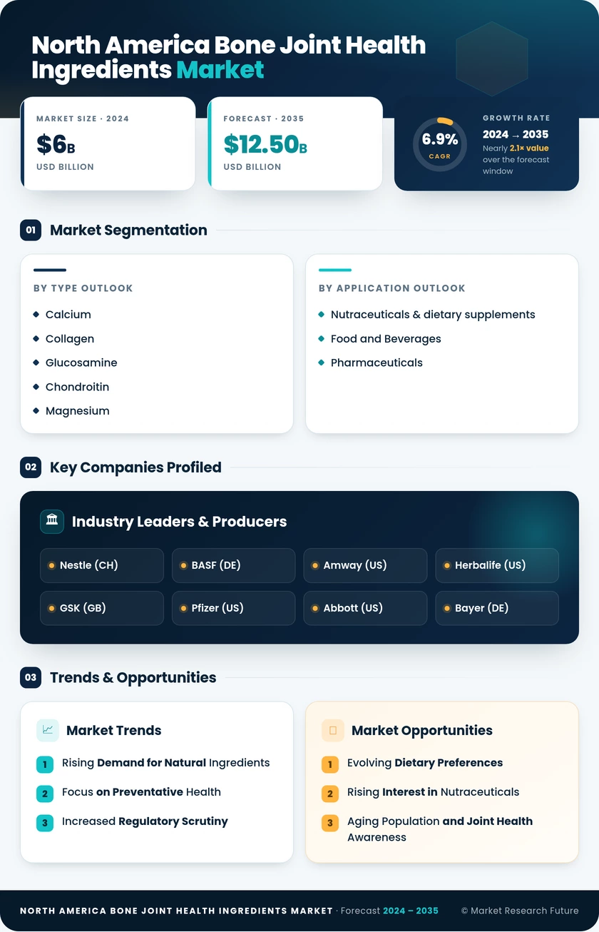 North America Bone Joint Health Ingredients Market Research Report- Forecast to 2035 Infographic