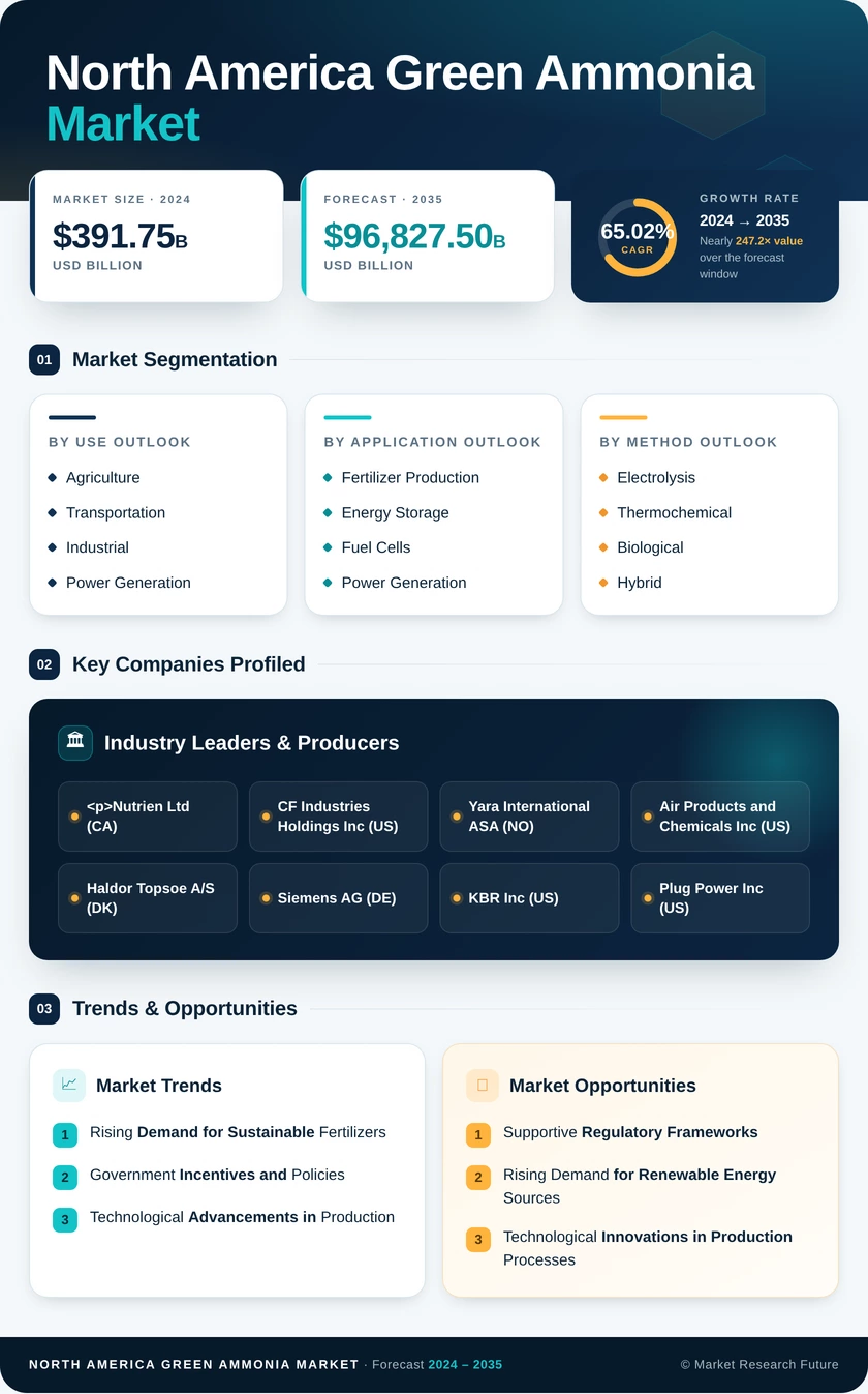 North America Green Ammonia Market Research Report—Forecast till 2035 Infographic