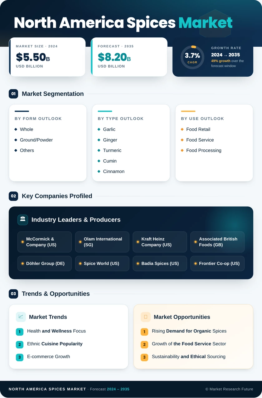 North America Spices Market Research Report - Forecast Till 2035 Infographic