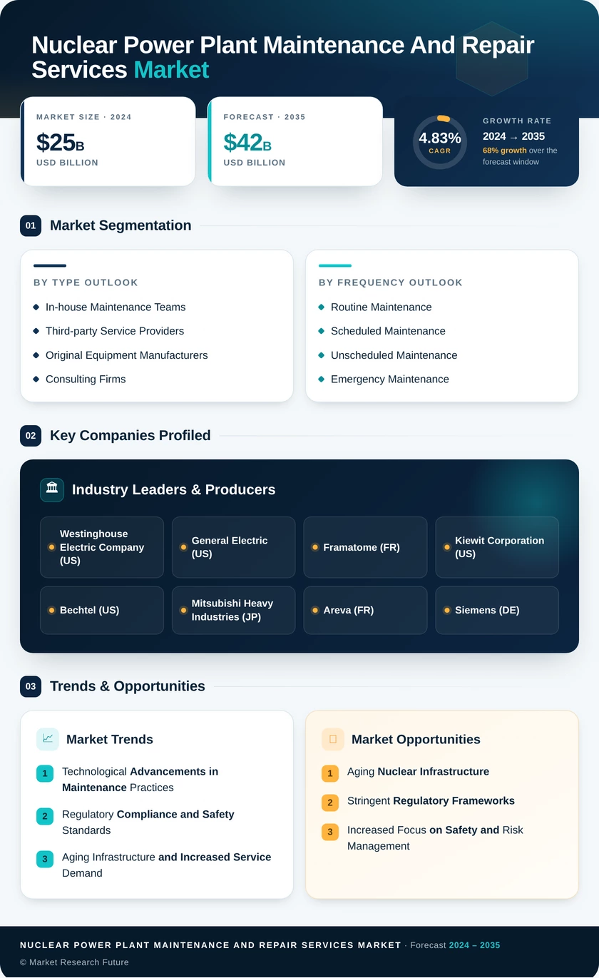Nuclear Power Plant Maintenance and Repair Services Market Infographic