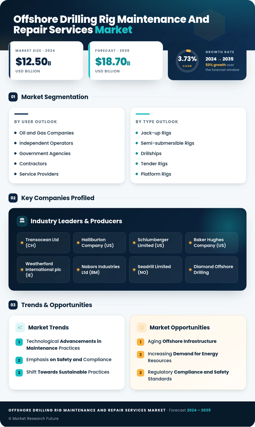 Offshore Drilling Rig Maintenance and Repair Services Market Infographic