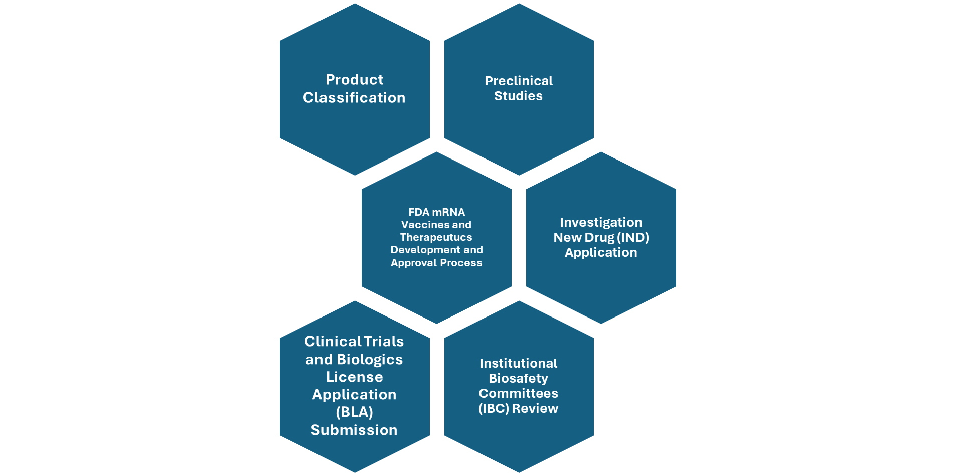 overview of FDA mRNA Vaccines and Therapeutics Approval and Development Process