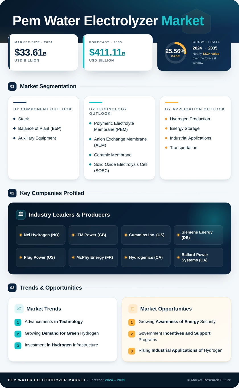 Pem Water Electrolyzer Market Research Report — Global Forecast till 2035 Infographic
