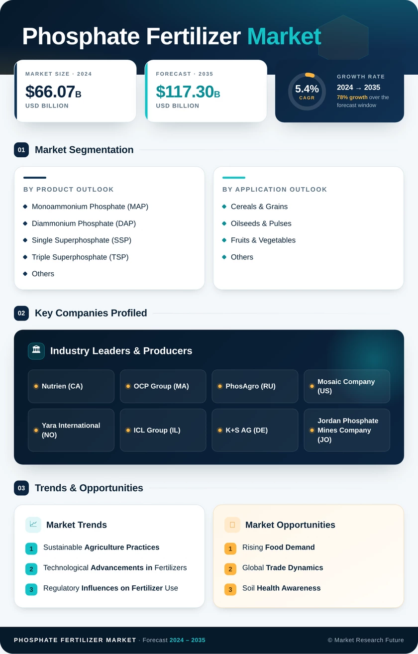 Phosphate Fertilizer Market Research Report-Global Forecast till 2035 Infographic