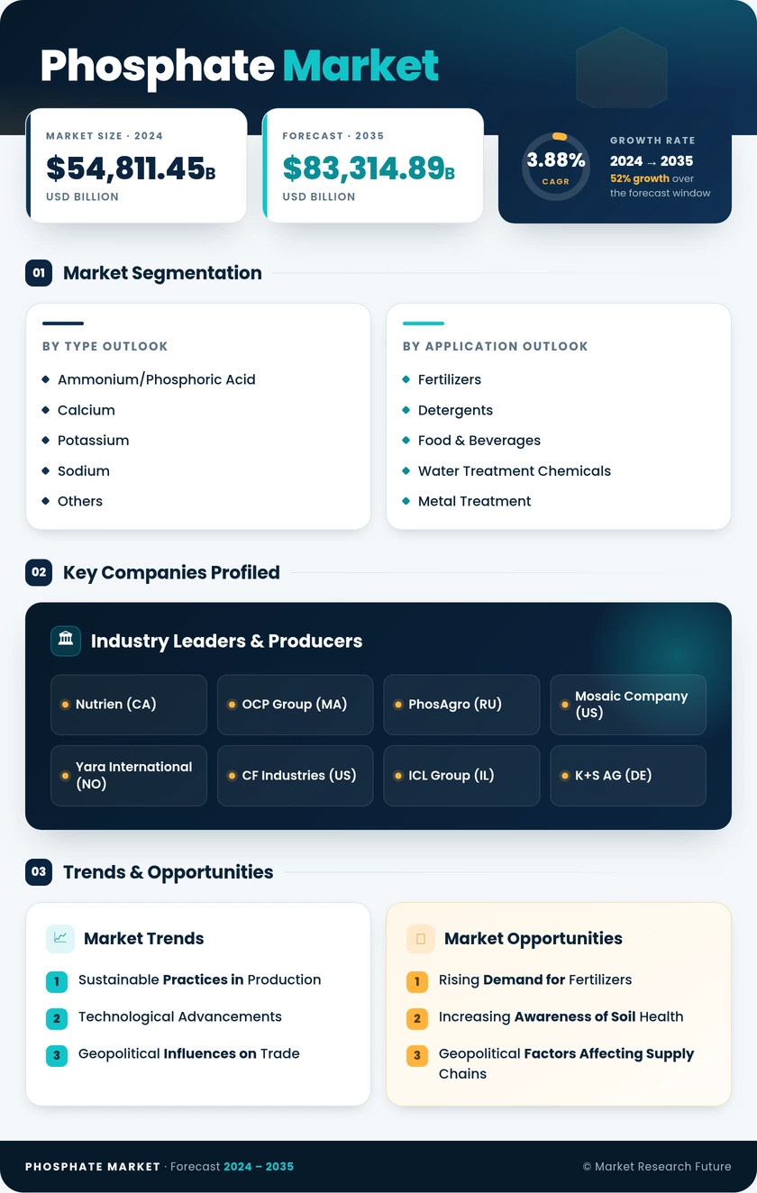 Phosphate Market Research Report—Global Forecast till 2035 Infographic