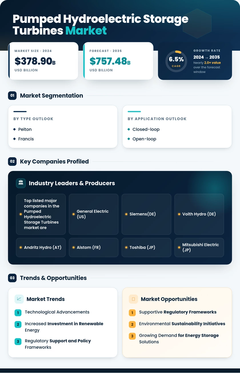 Pumped Hydroelectric Storage Turbines Market Research Report—Global Forecast till 2035 Infographic