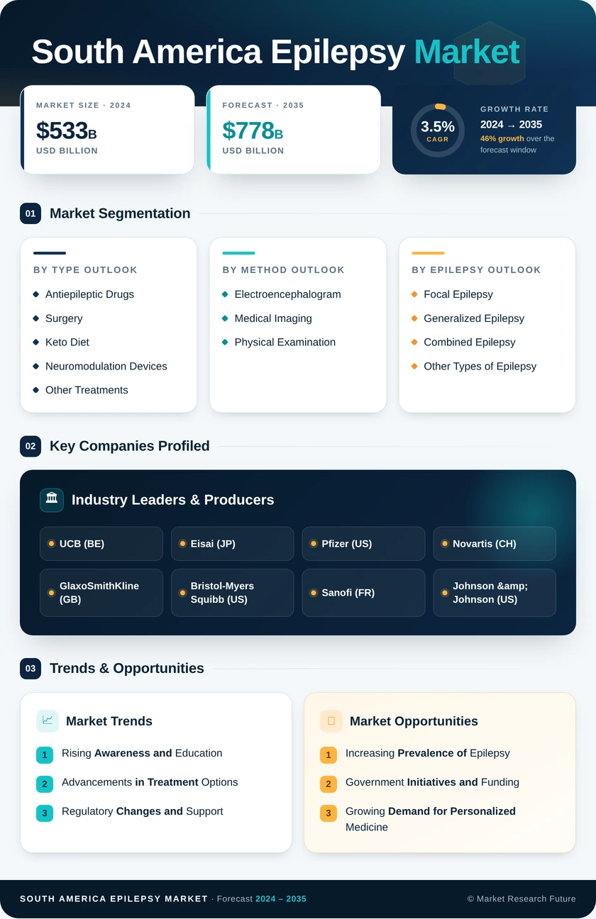 South America Epilepsy Market Research Report-Forecast to 2035 Infographic